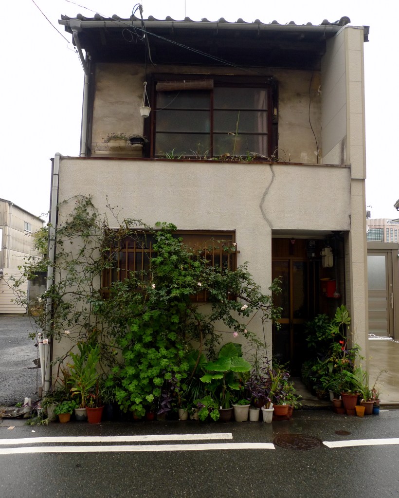 lovely house along quiet street