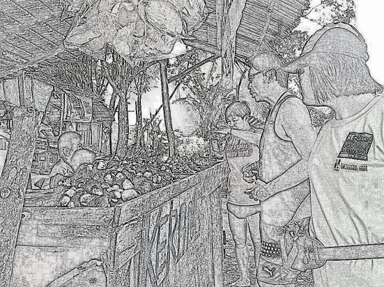 roadside seafood stall