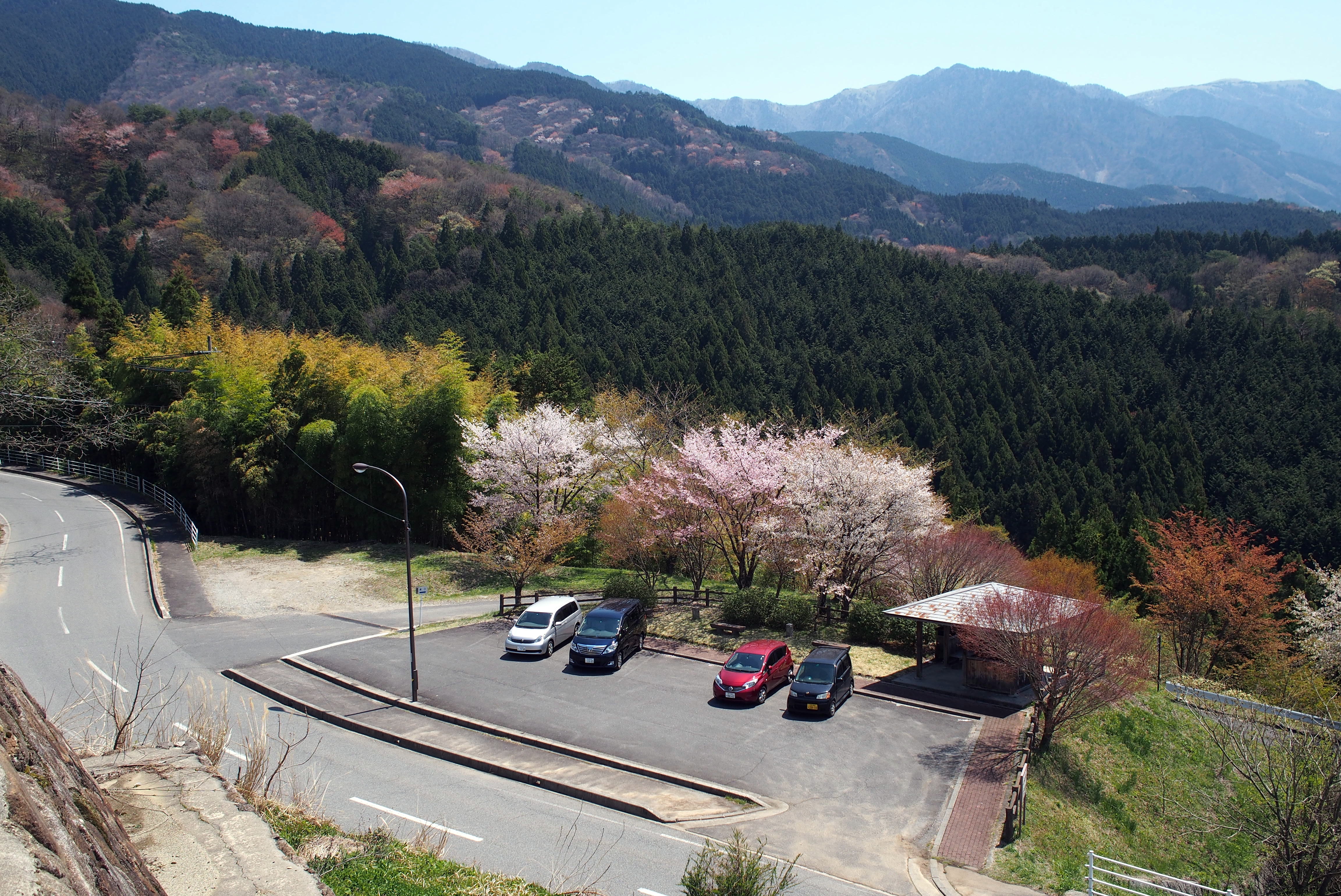 from the viewing point