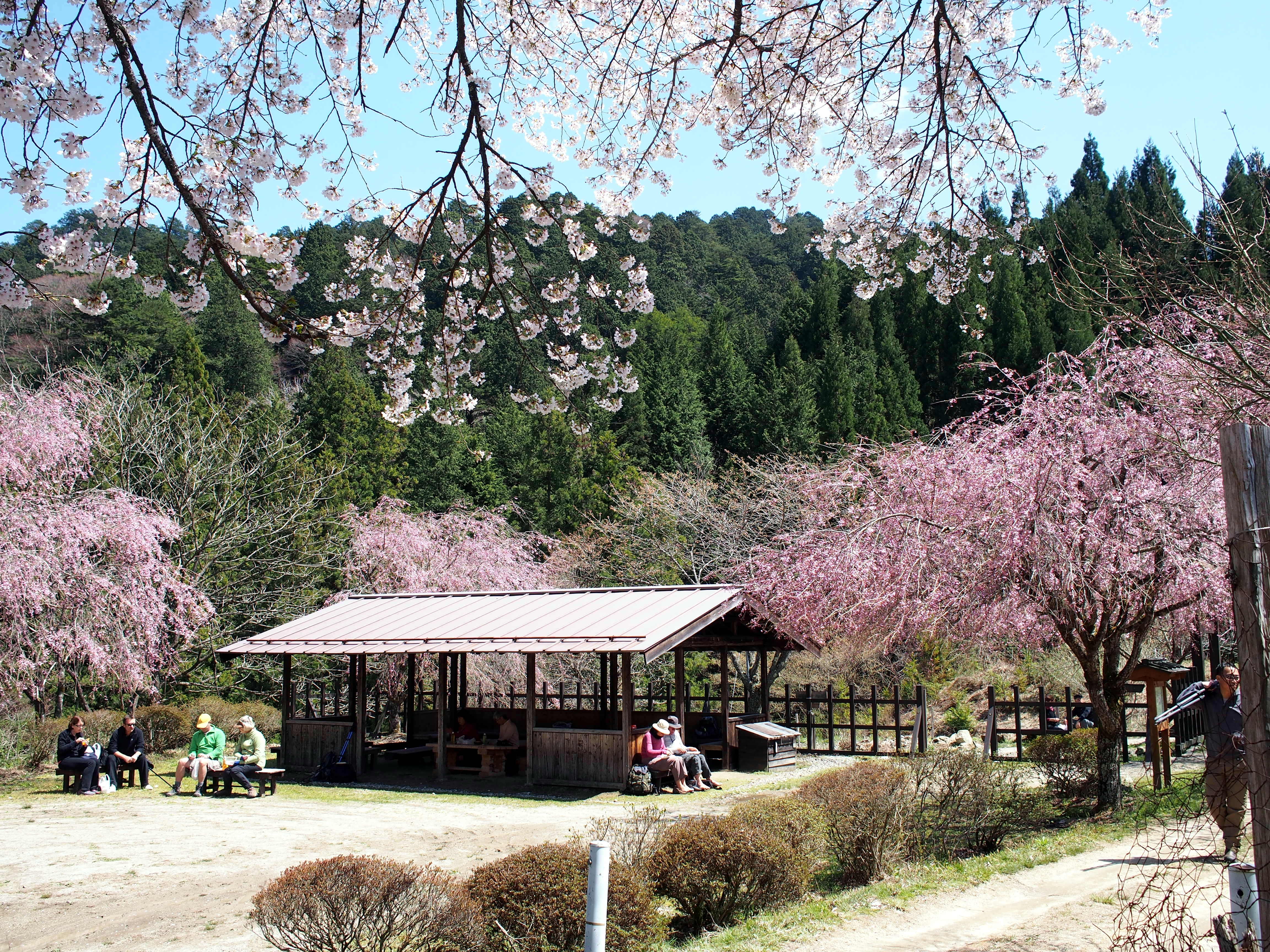 a shed for the weary hikers 