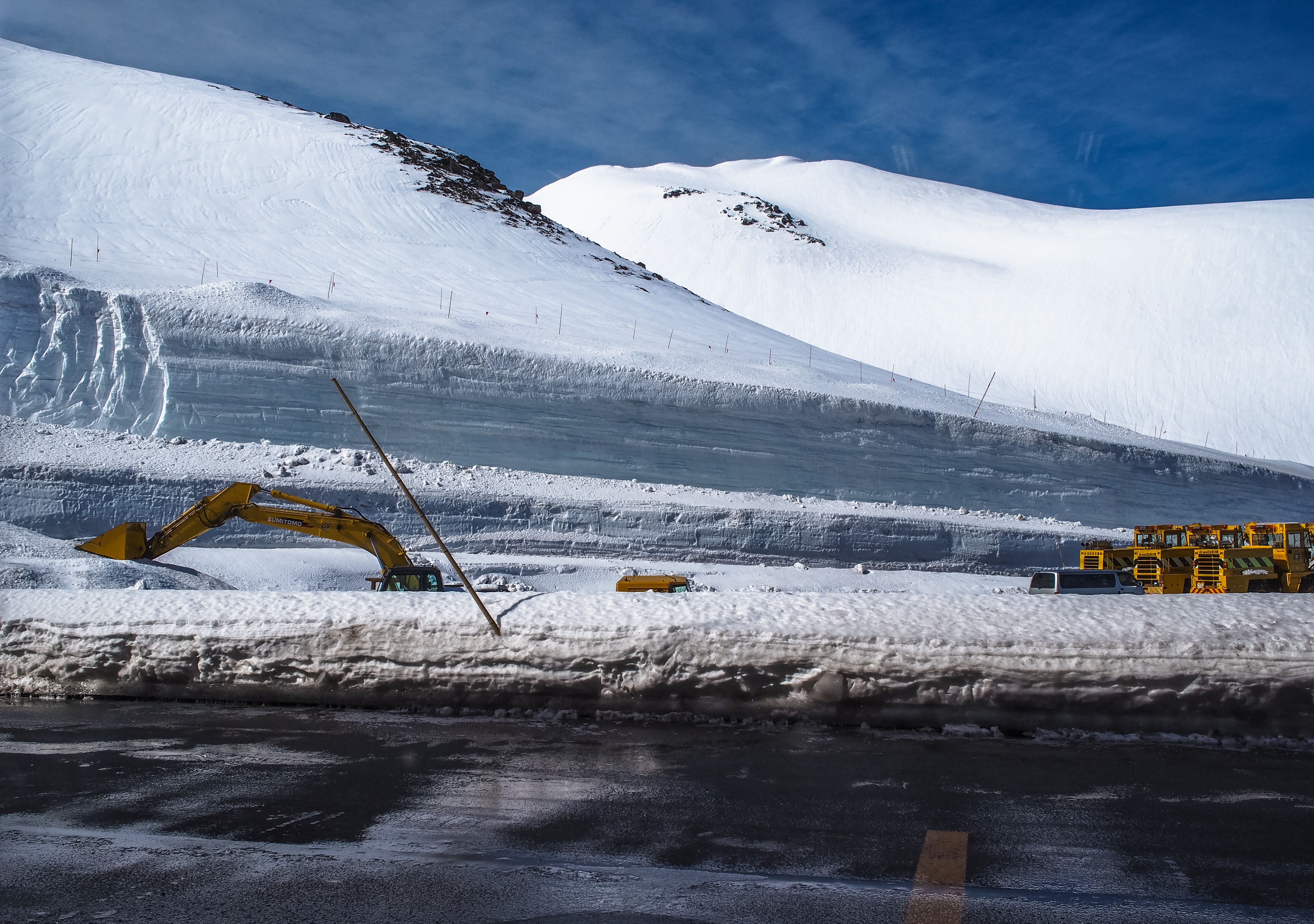 view from the dining room window
