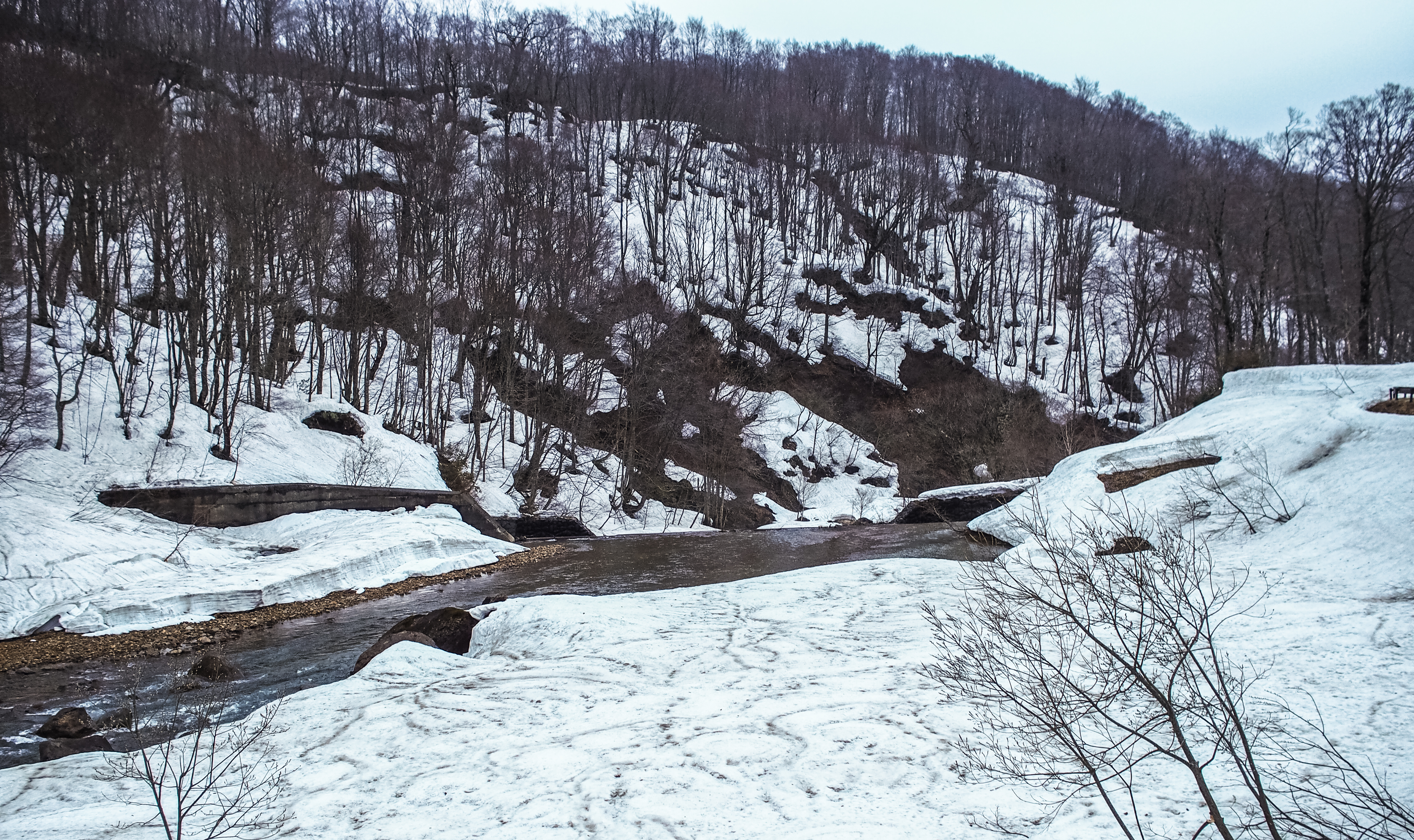 secret trail at the back of onsen