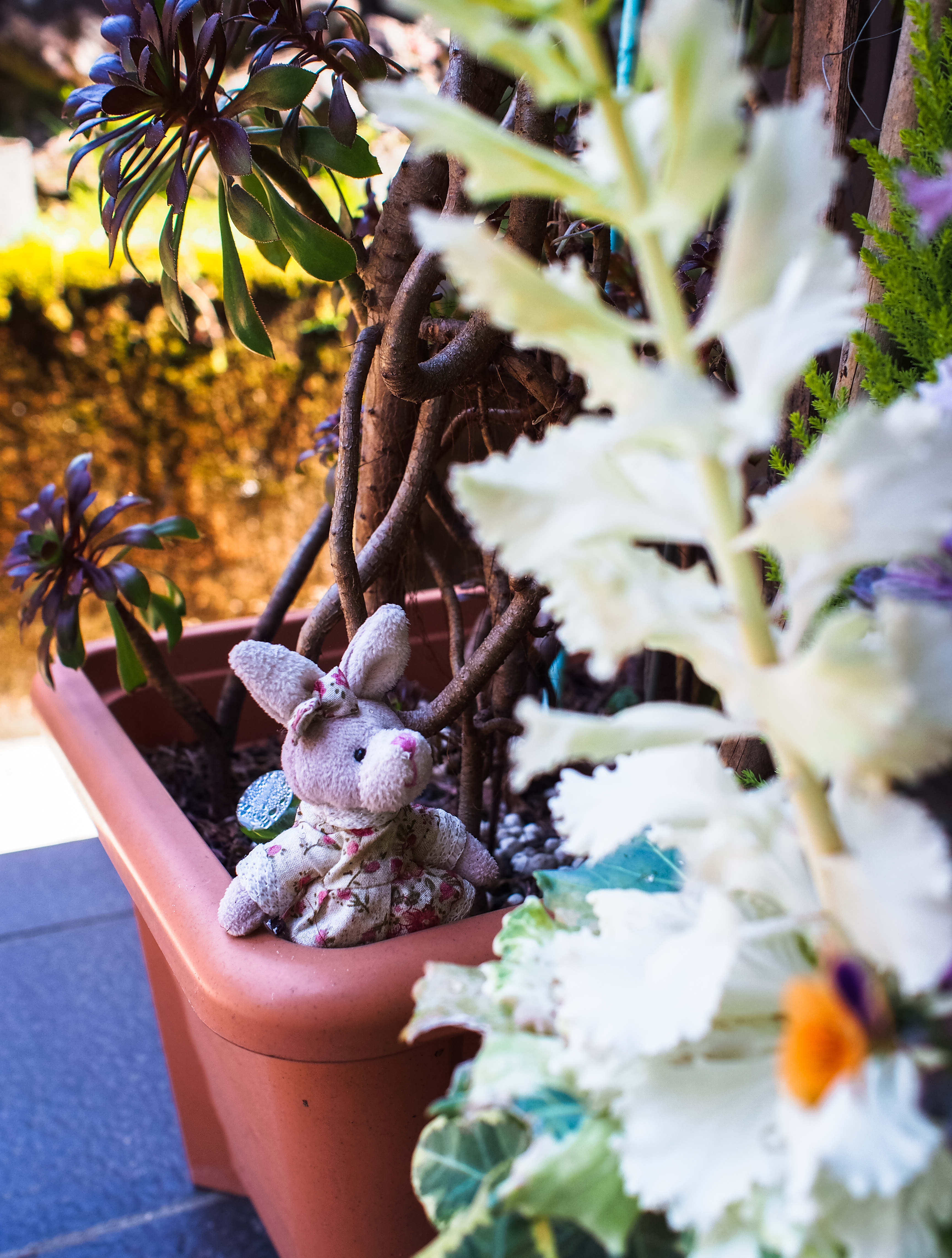 rabbit: aren't my flowers pretty? 