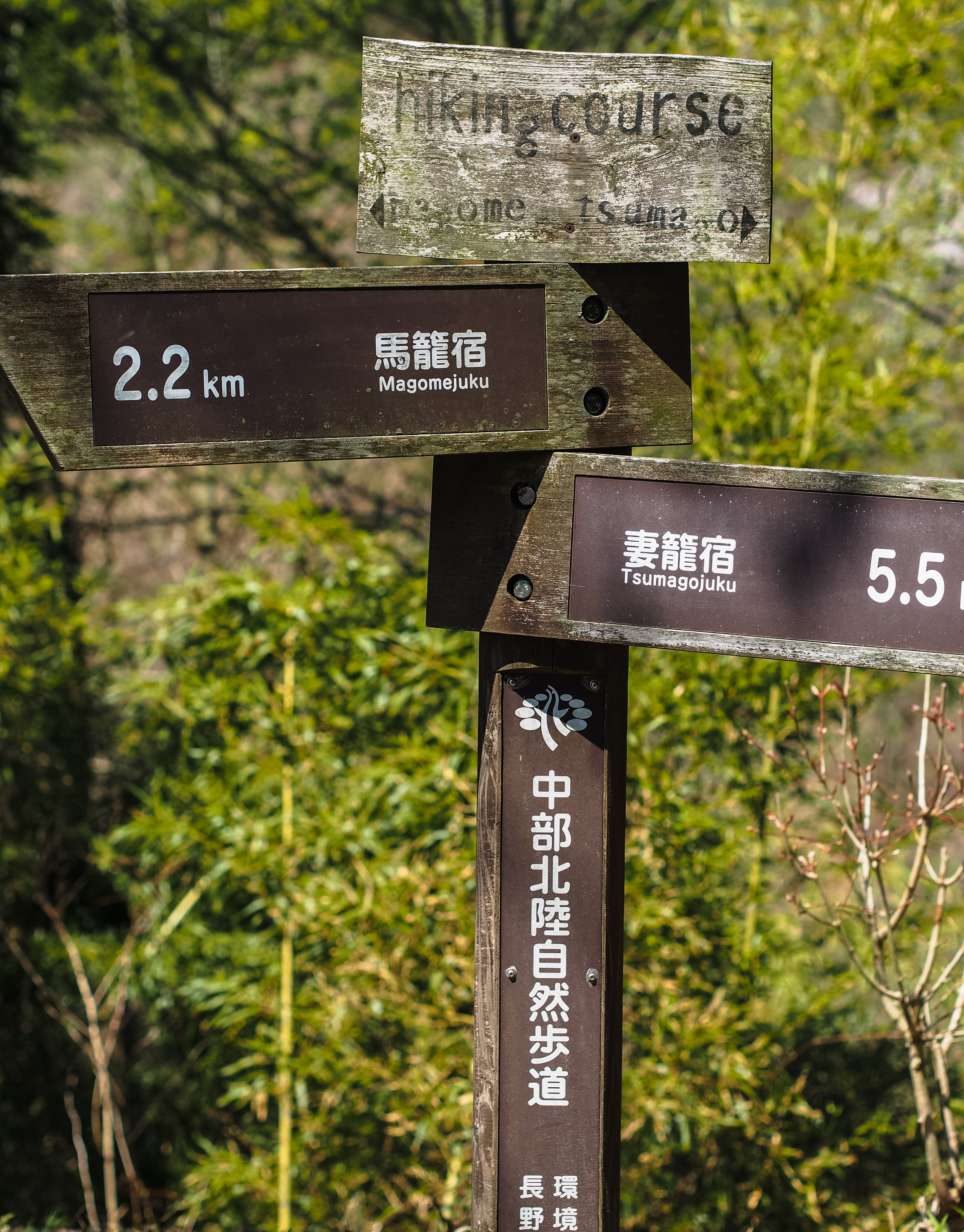 which way? 