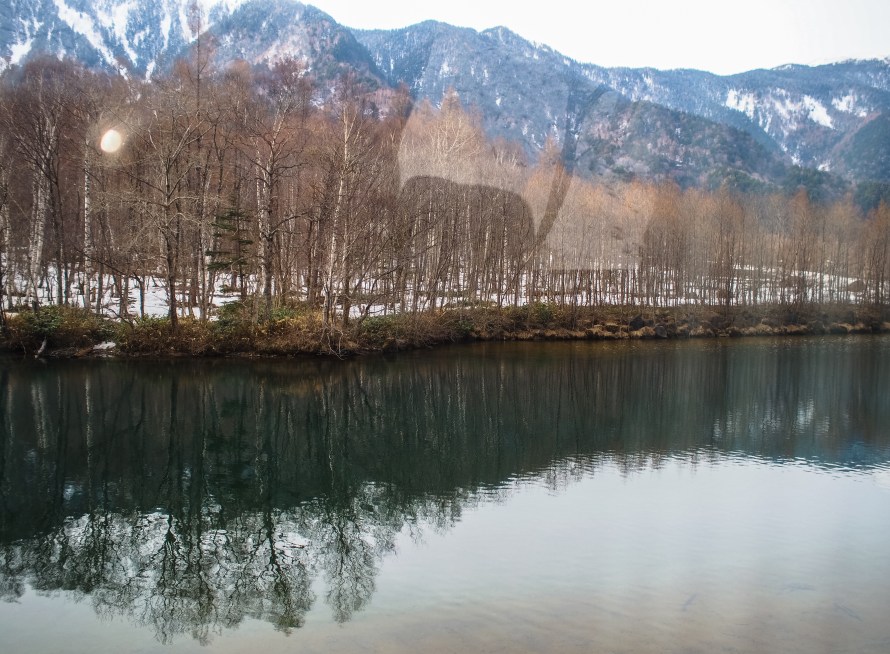 taisho pond, from the bus