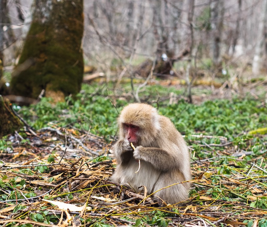 hmm ... these people are boring