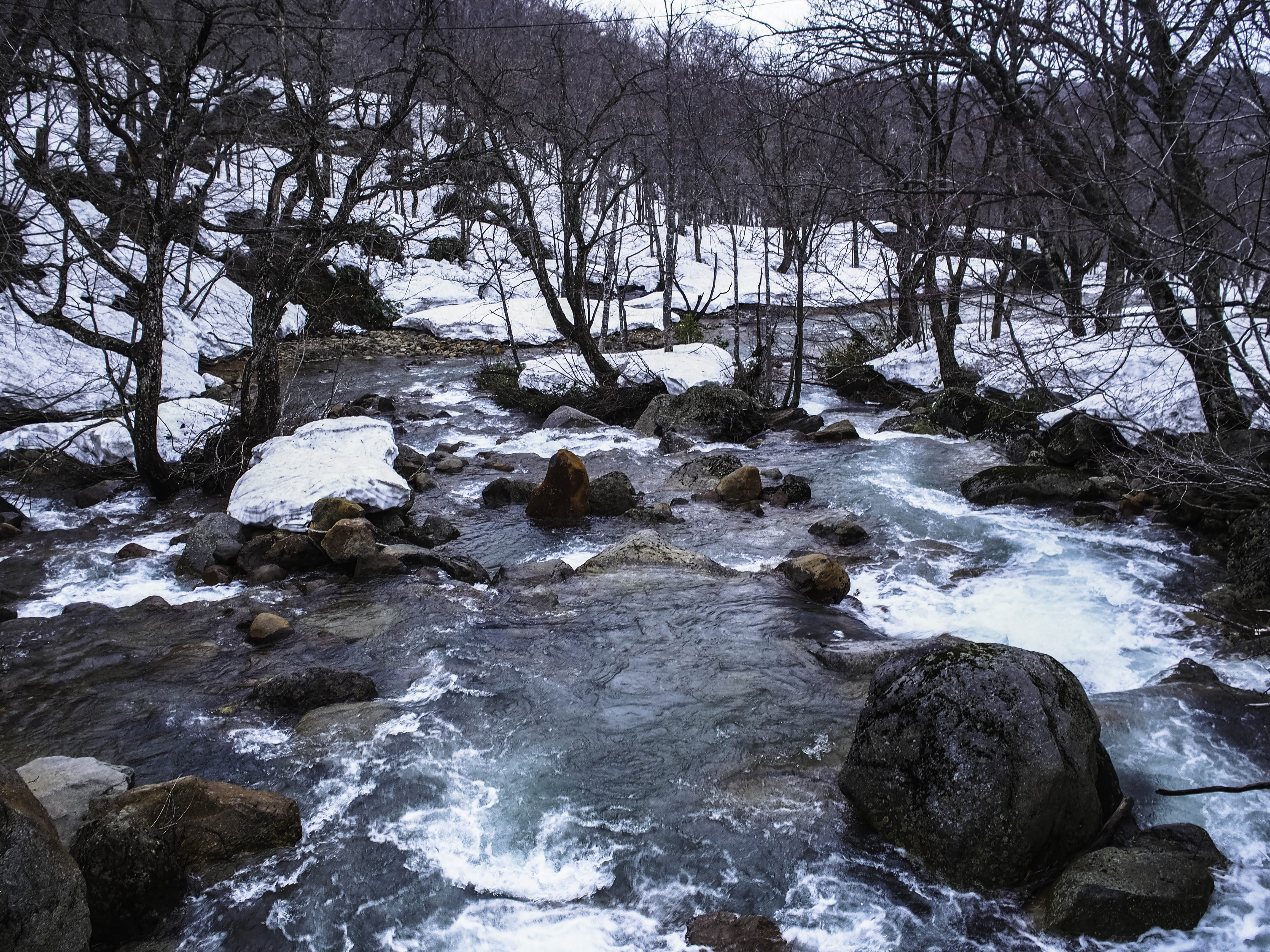 the next day, when the snow had melted