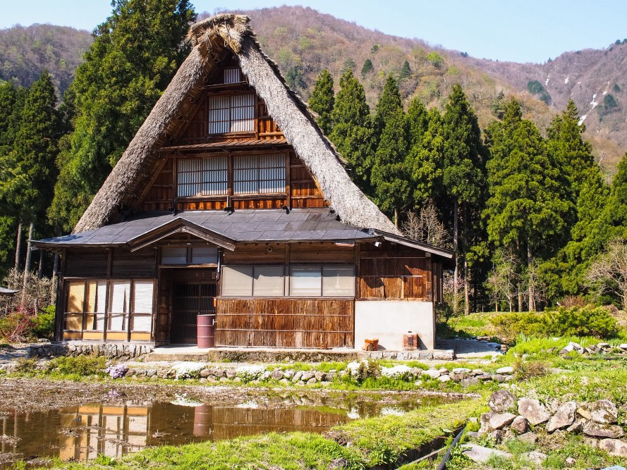 house - full frontal