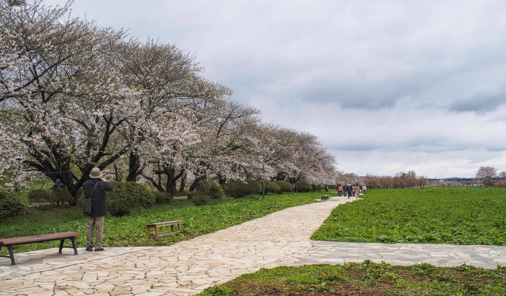 braving the cloudy sky