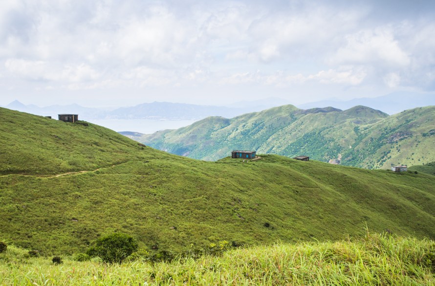 at the crest of sunset peak