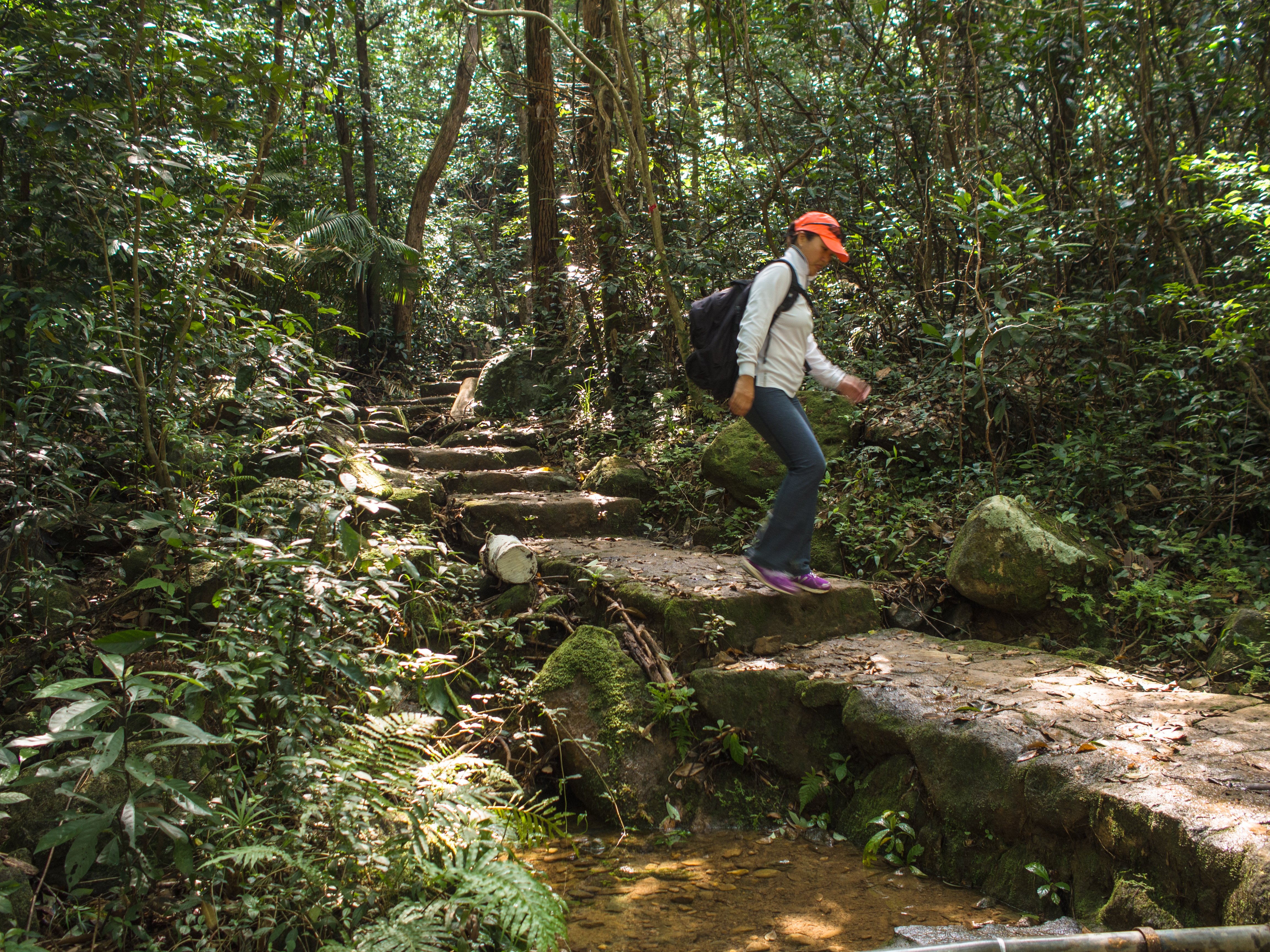 walking down stone path