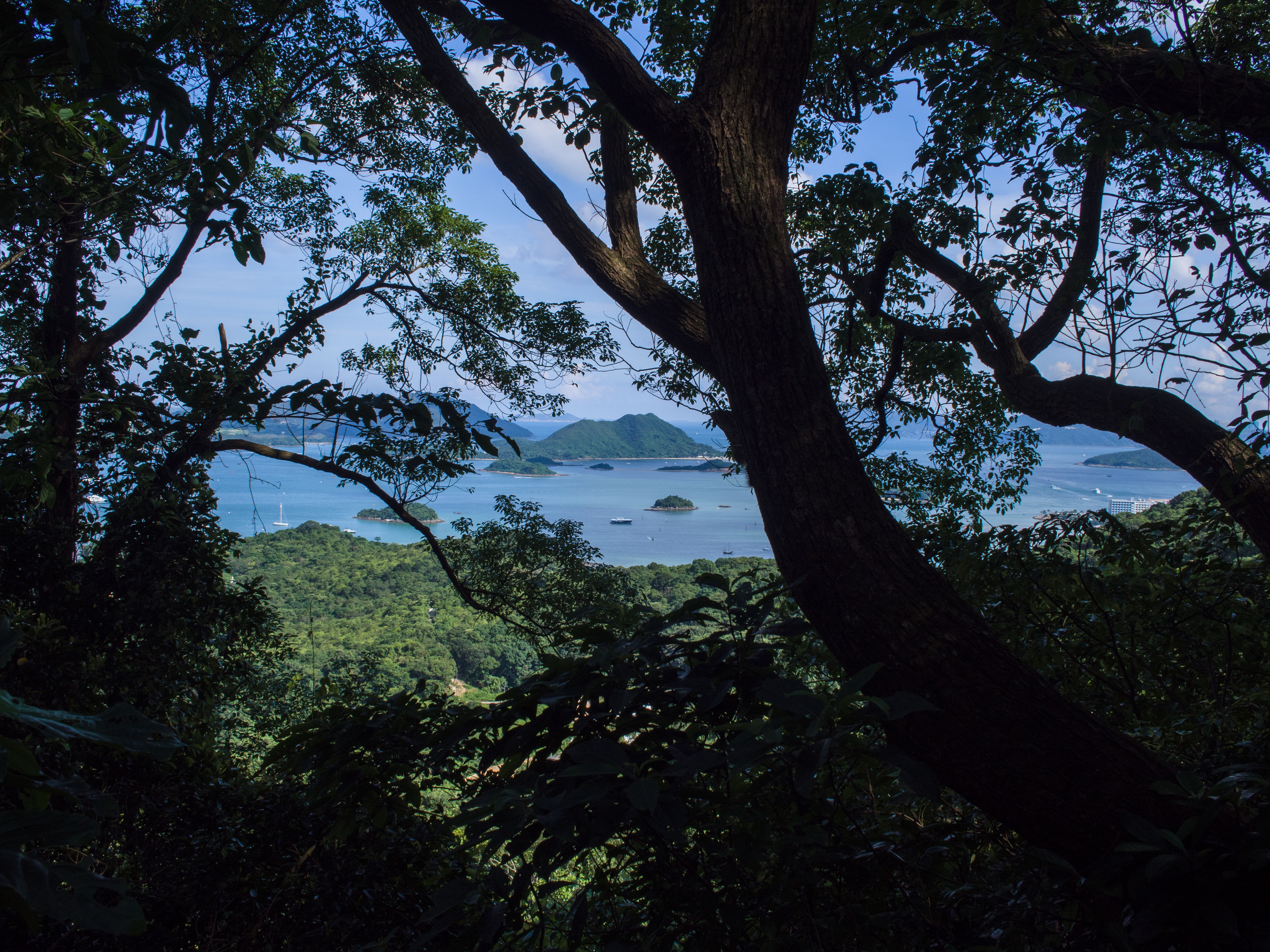 peek a boo, as we neared end point