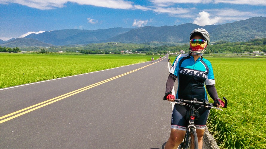 bandit on the loose? 