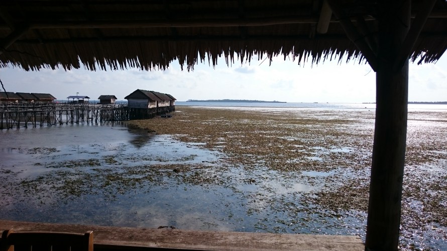 from the kelong restaurant