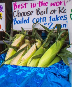 they taste like .. sugar cane