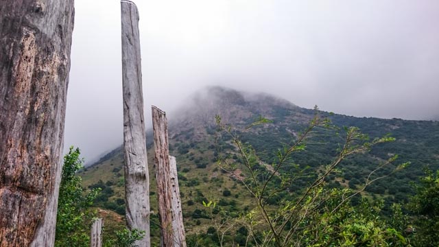 from the sutra pillars 