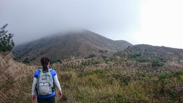 now we see the peak? or not