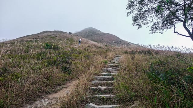 we were not the only slow ones