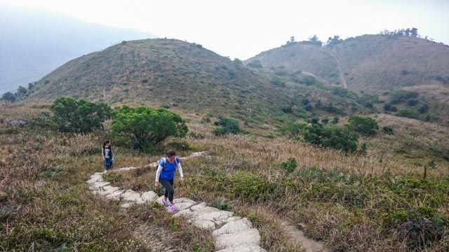 but the steps continued to climb 