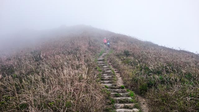 finally caught up with the earlier birds 