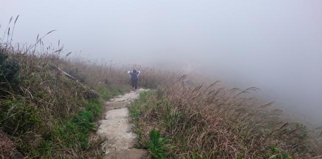 could barely see far 