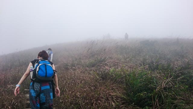 all we saw were shadows 