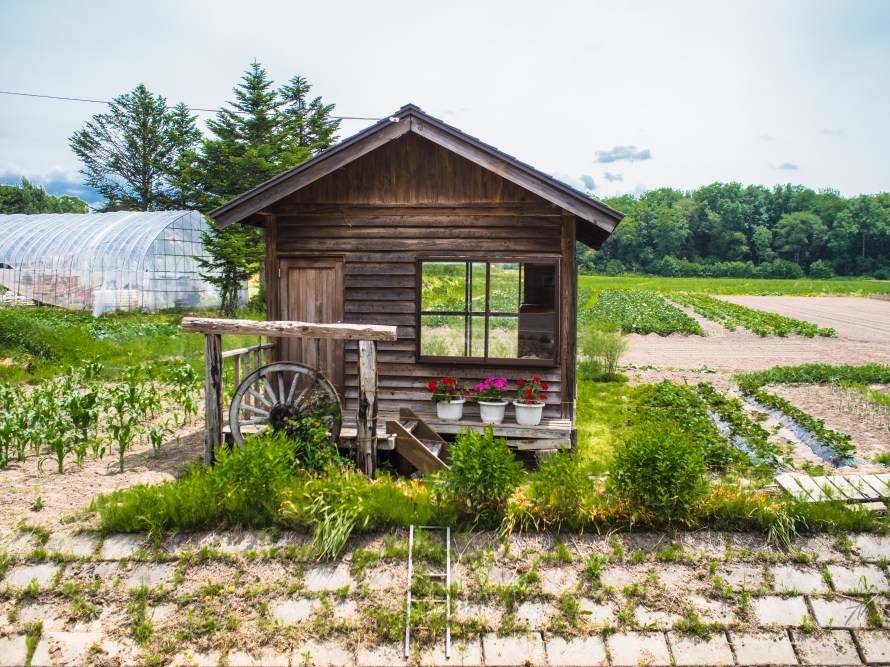 little house opposite our abode