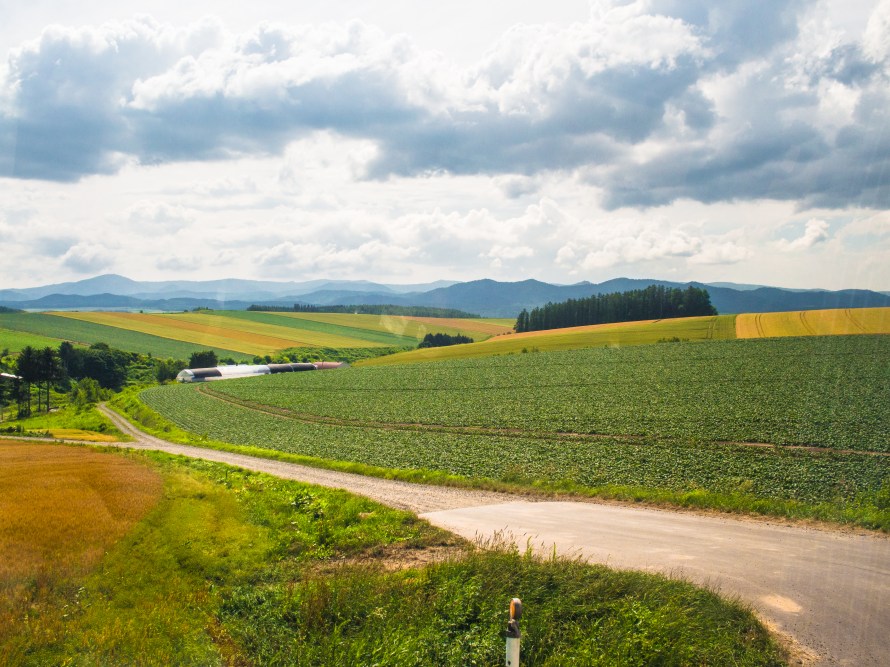 on the biei patchwork course 