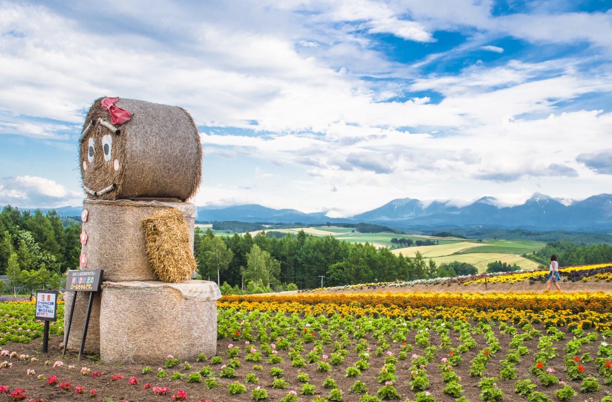 last stop of patchwork course