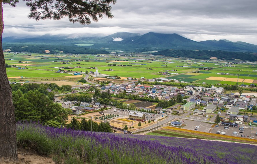 view from top of nakafurano