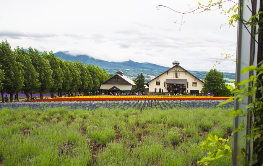an european styled house
