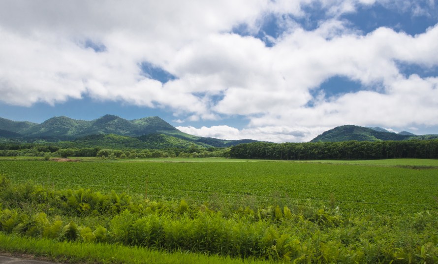 on the way to the observatory