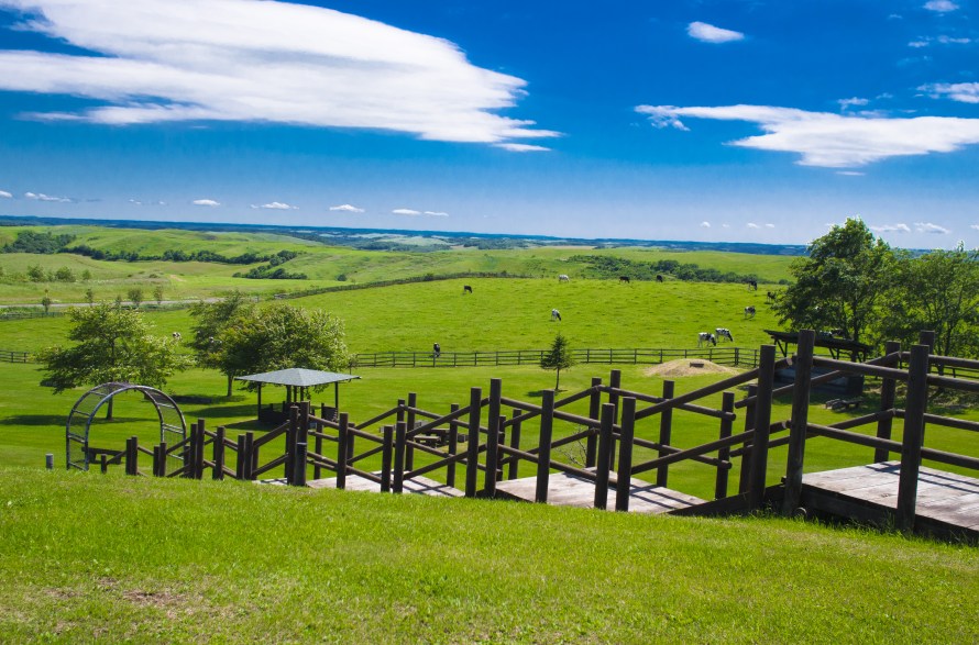 these stairs are meant for walking