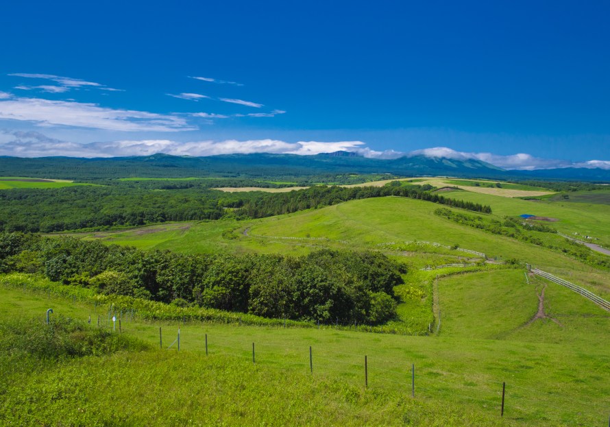 panoramic view from observatory tower