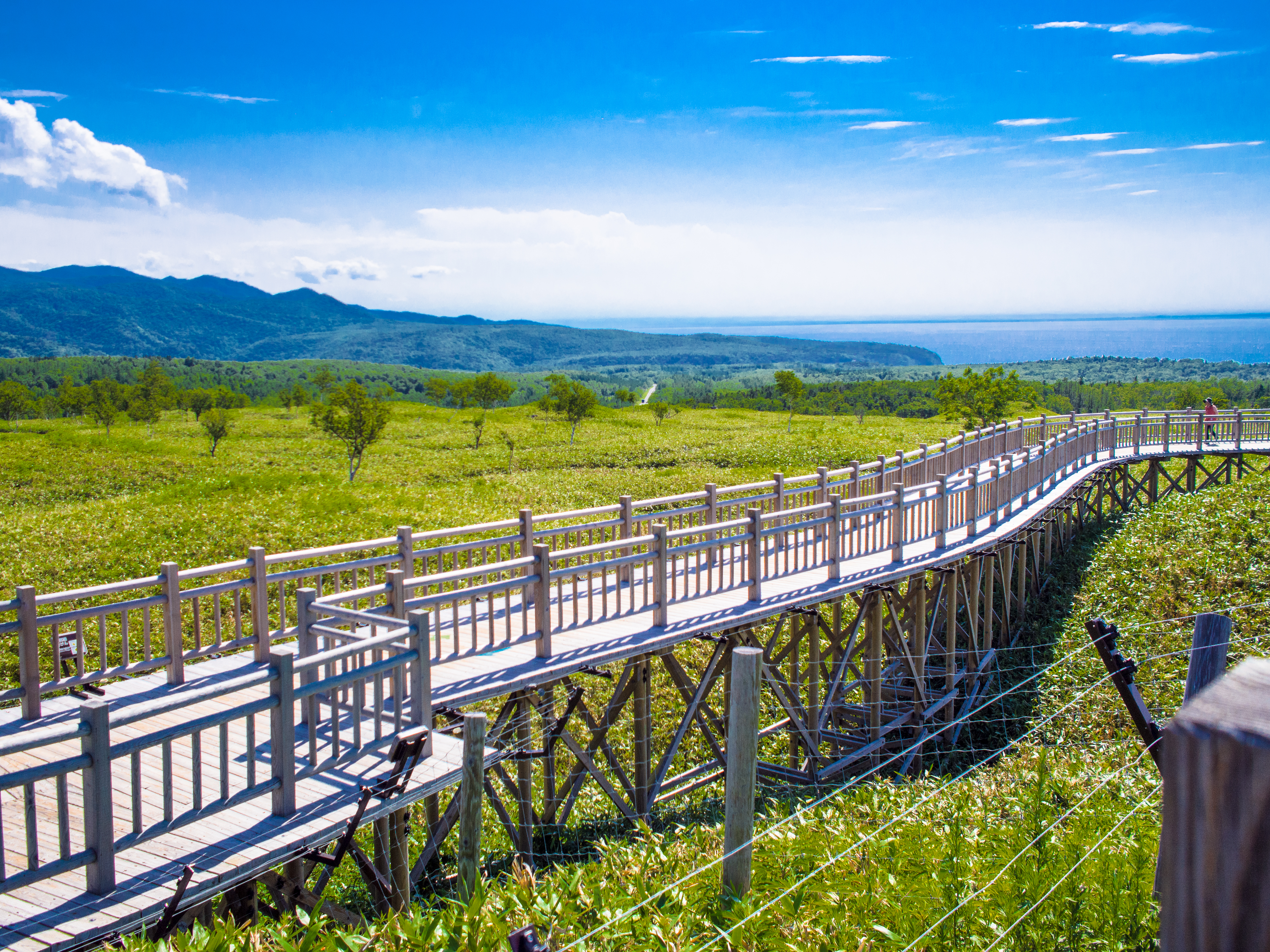 the boardwalk stretches towards the sea