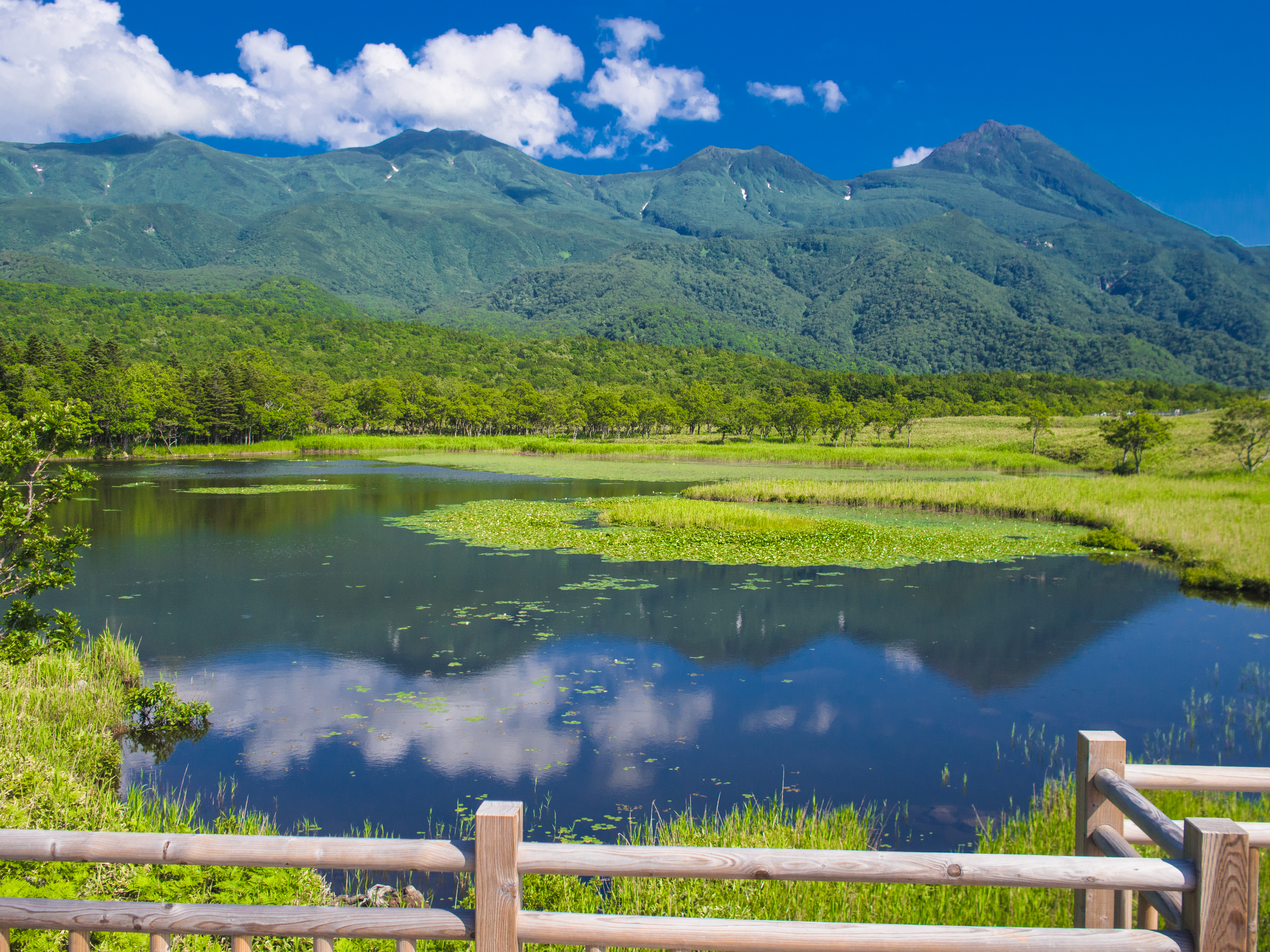 reflections on the lake