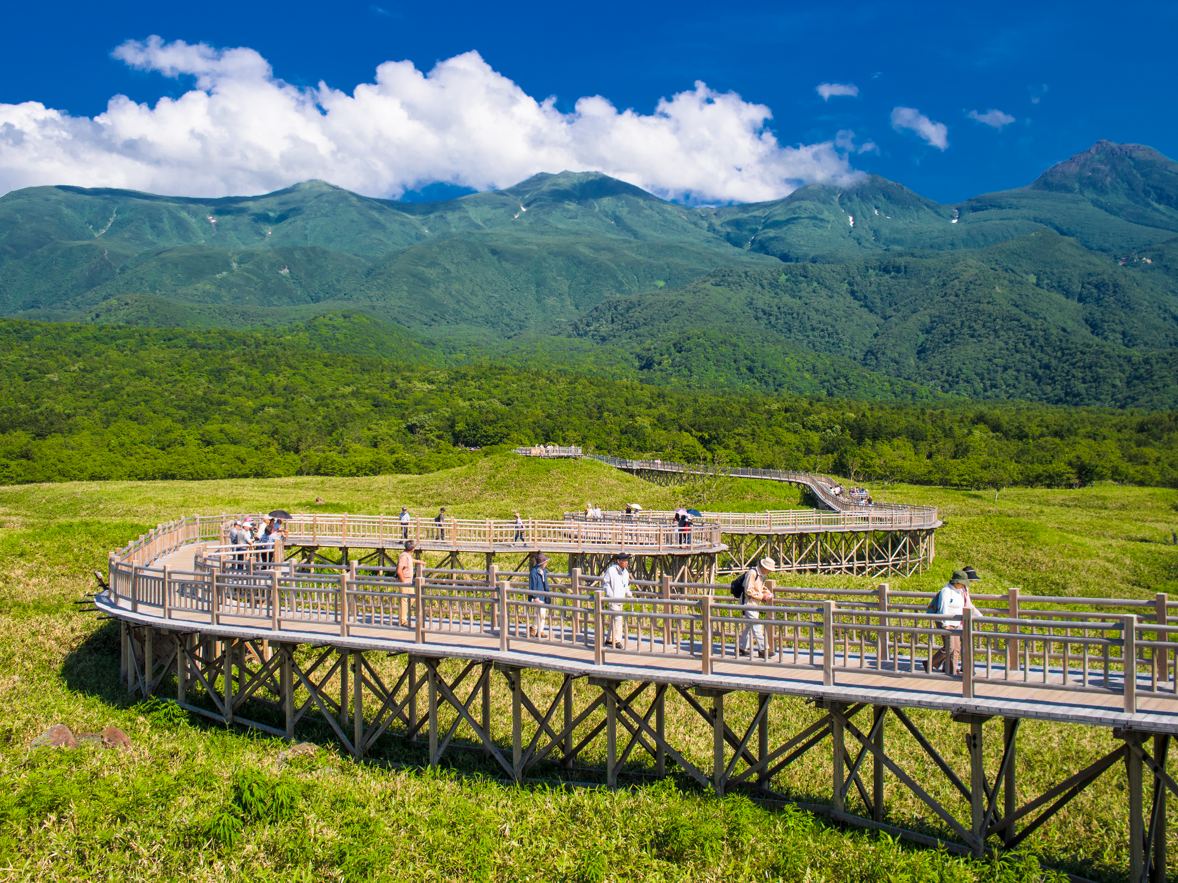 tourists braving the heat