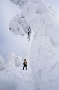 i am watching you ....