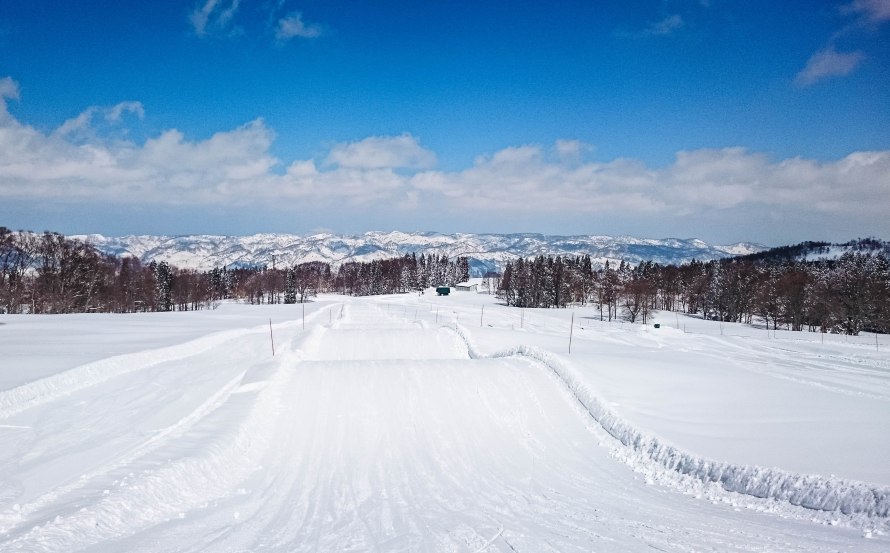 bumps, for the added thrill 