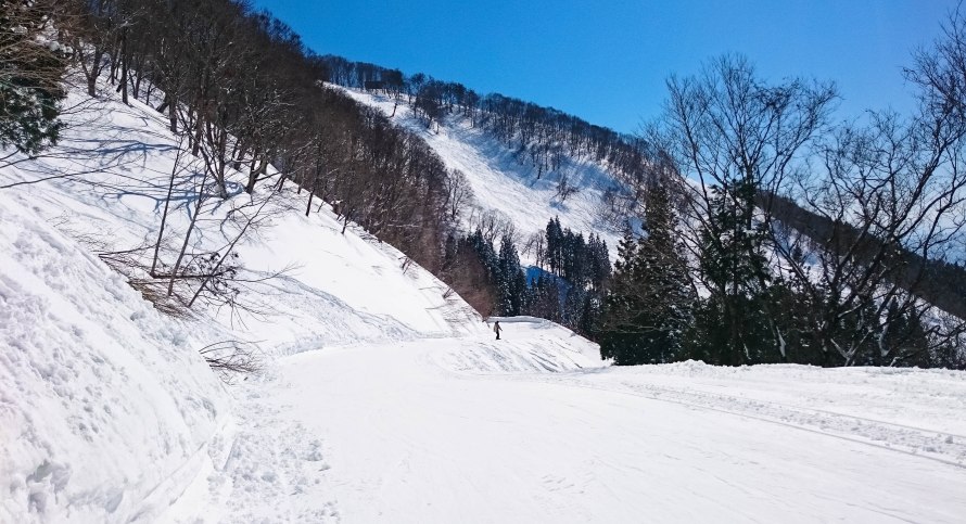 the 5km route down the mountain