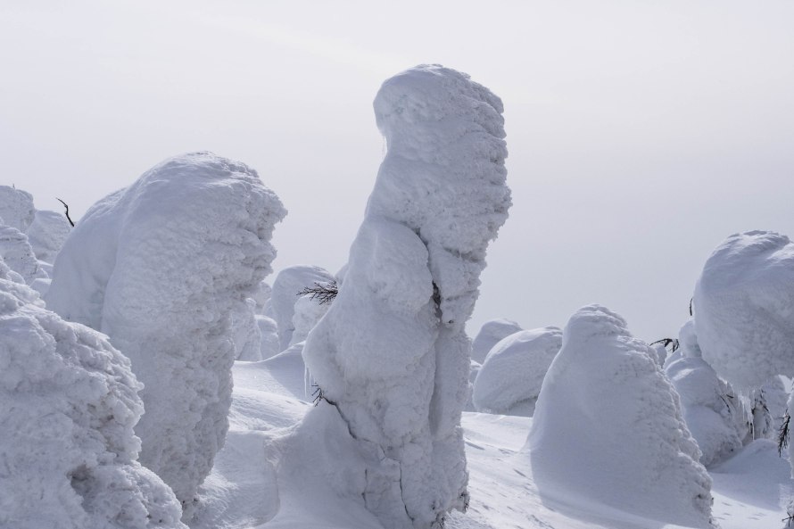 the alien-looking ones