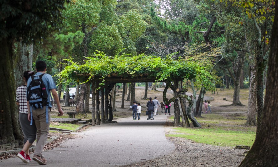 nara park