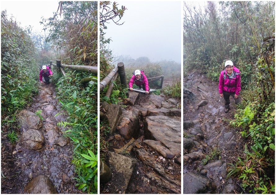 climbing and climbing