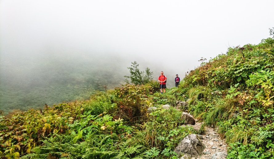 finally a proper trail