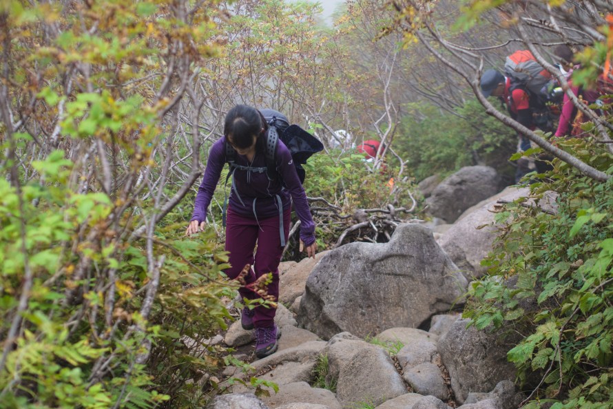 trekkers coming down