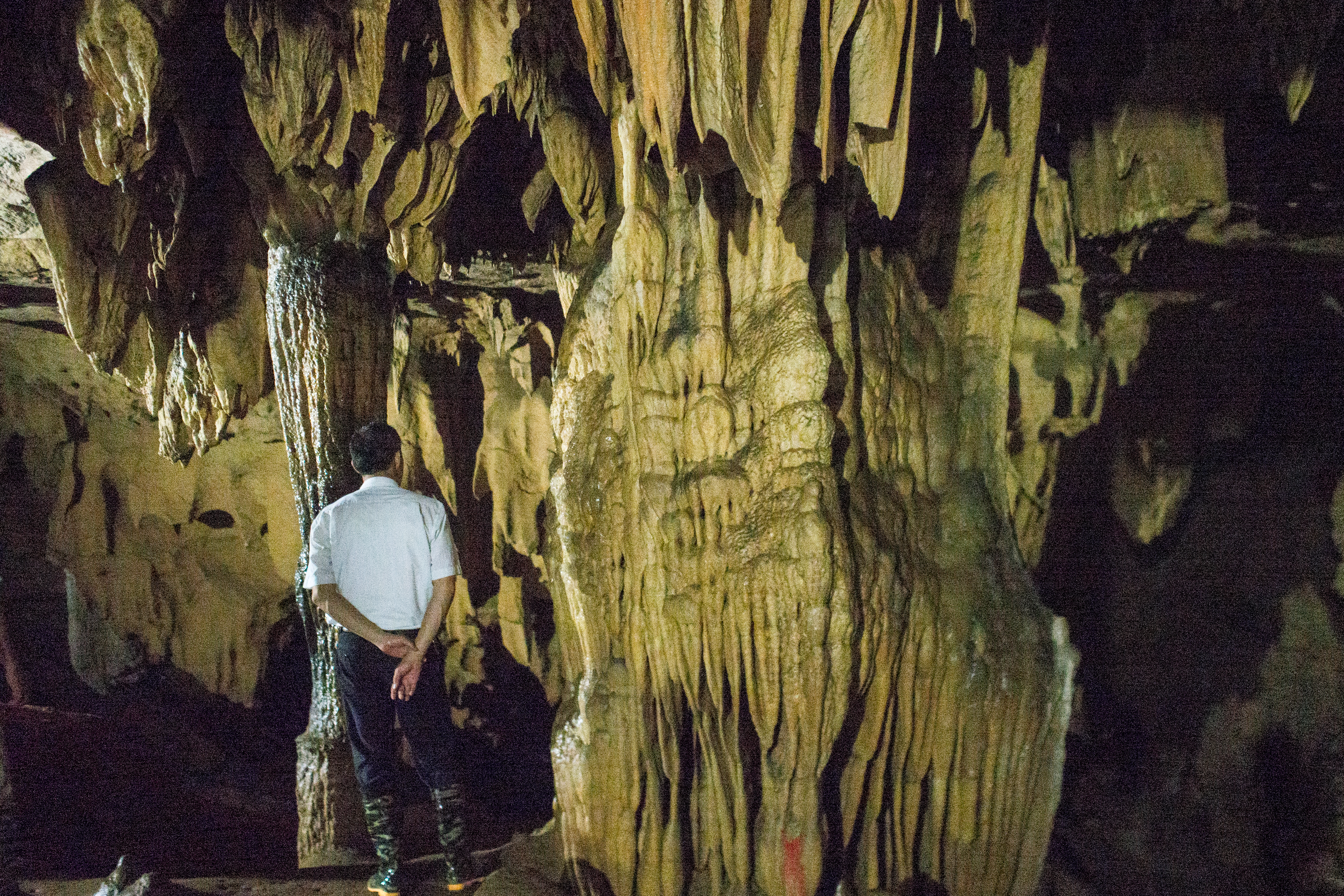 one of those huge ones