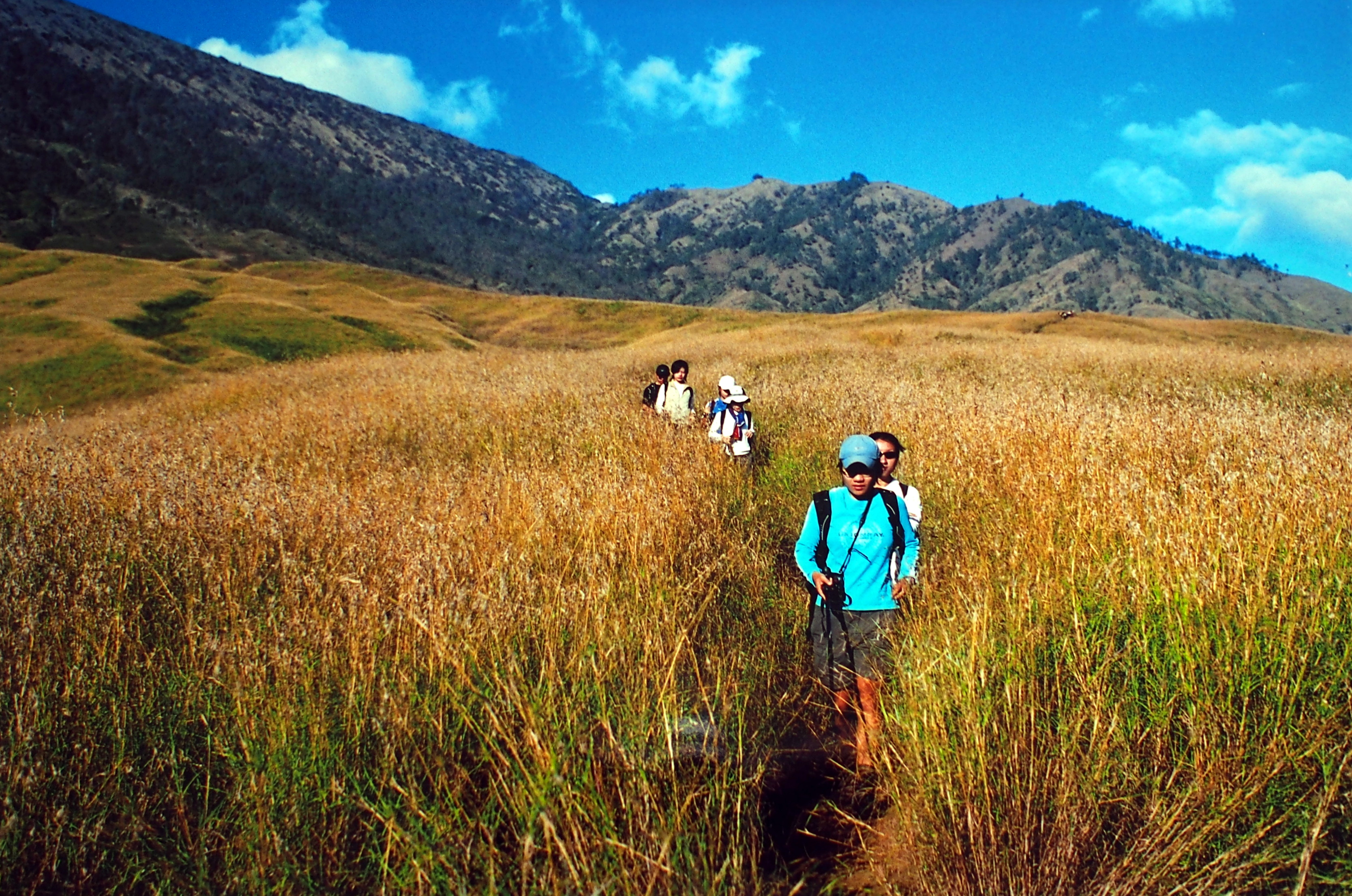 Emerging from the overgrowth